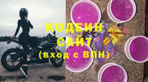 индика Аркадак