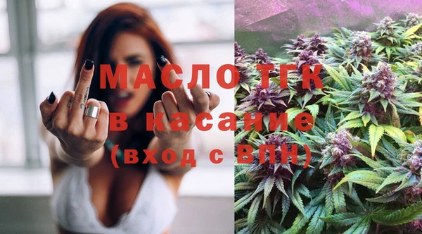 индика Аркадак