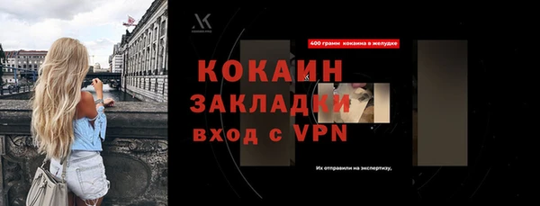 индика Аркадак