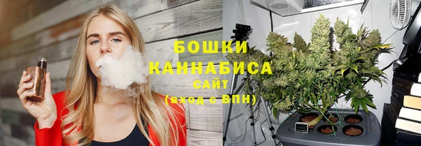 индика Аркадак