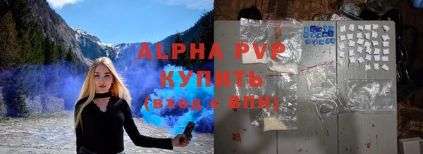 индика Аркадак
