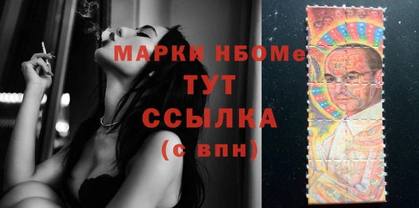 индика Аркадак